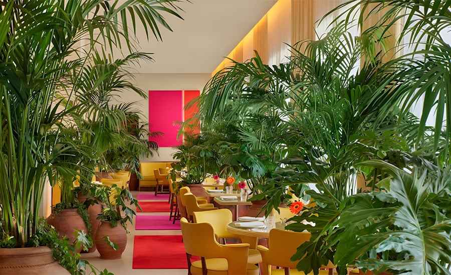 Los mejores restaurantes mexicanos de Madrid