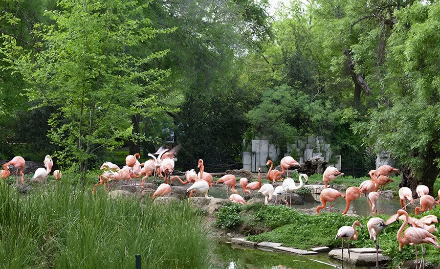 Los mejores parques de Madrid: respira, vive y enamórate de la ciudad
